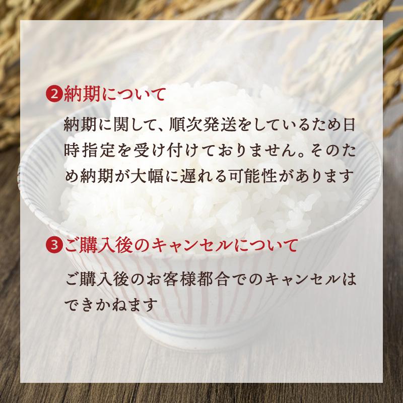 超Pay Pay祭 限定価格【令和7年産新米使用】 送料無料 新米 と 備蓄米 の ブレンド 10kg  (5kg×2) 白米 米 お米 新米50％使用！低価格と美味しさを最優先 |  | 11