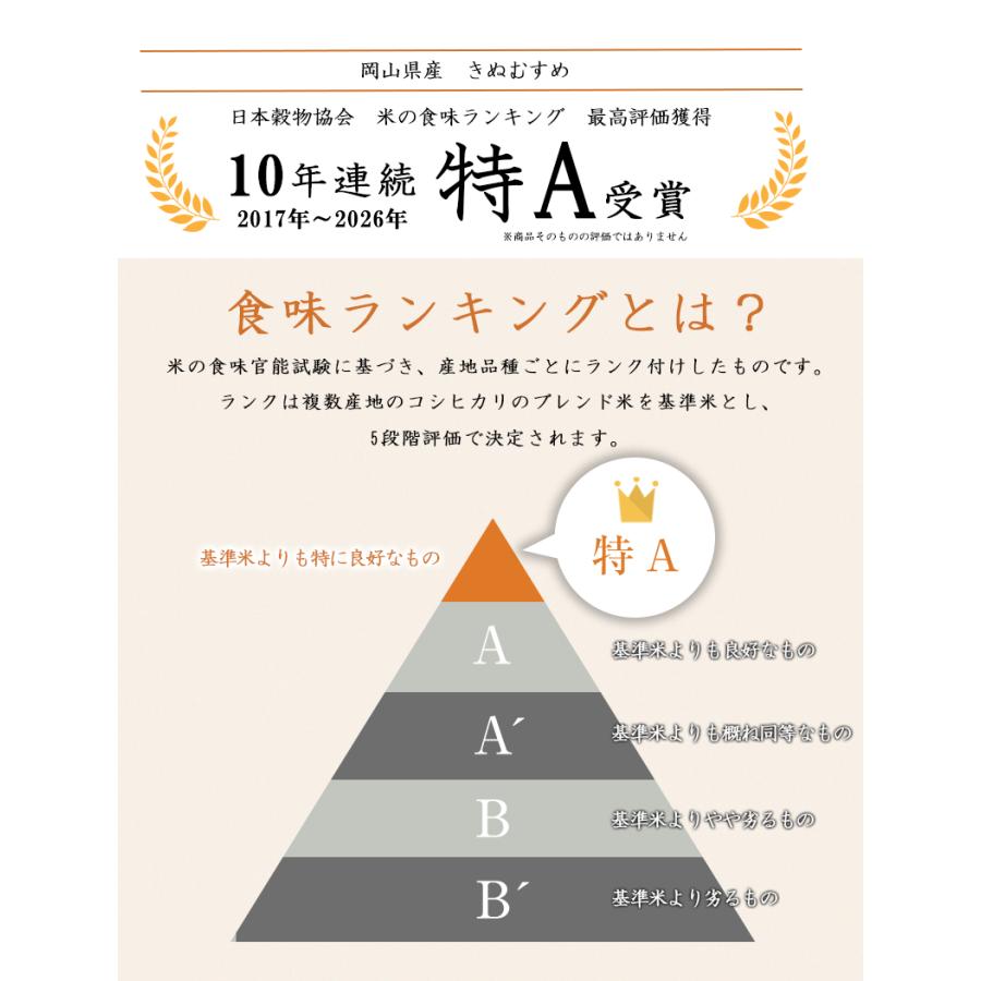 令和7年 岡山県産 きぬむすめ 10kg (5kg×2個) お米 特A受賞米 送料無料