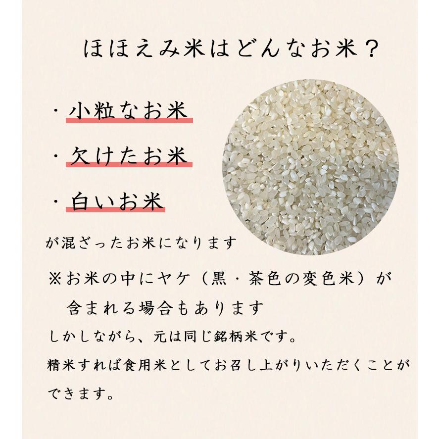 おこめ 10kg 25年4月上旬精米 国内産 米10kg 2024、4上旬精米