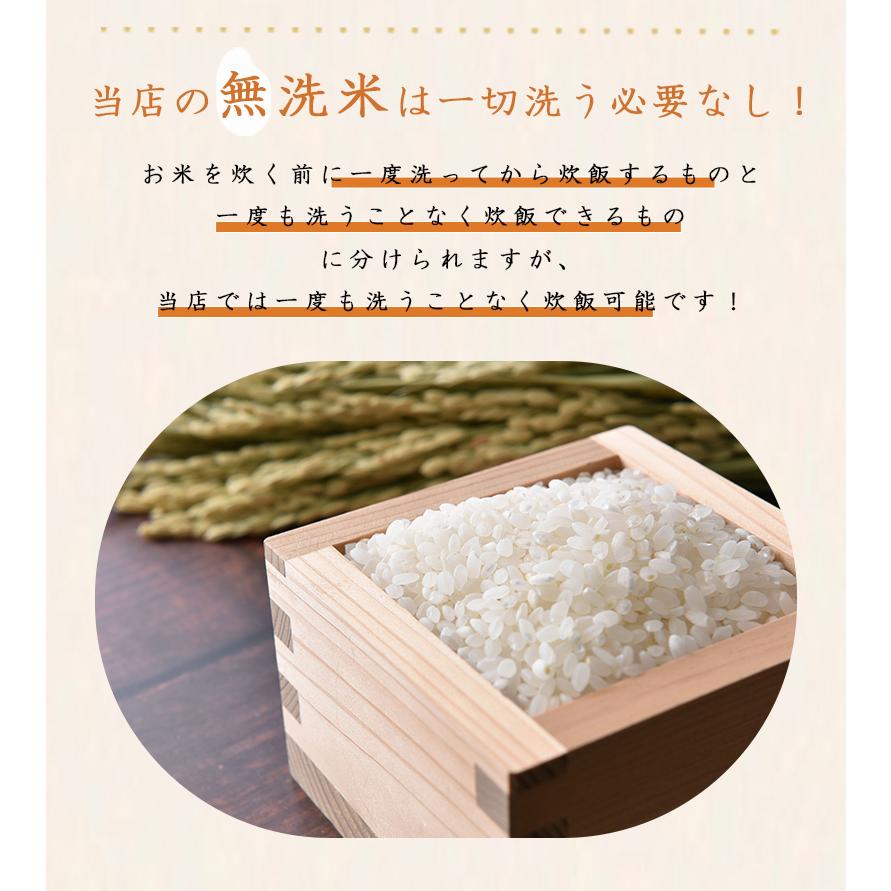 Miiです。 令和6年 新米 岡山県産 農家直送 きぬむすめ 精米済み 令和6年産】岡山県産 きぬむすめ 5kg（精米 / 自家栽培） - 岡山