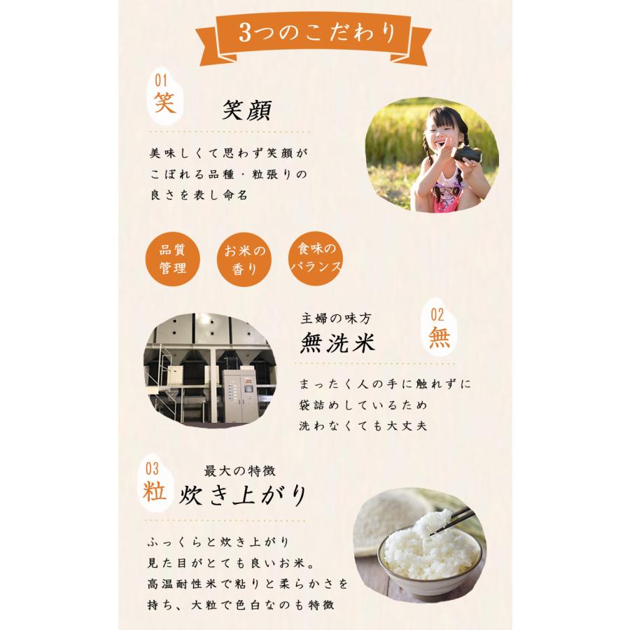 令和6年 岡山県産 にこまる 無洗米 10kg (5kg×2個) お米 送料