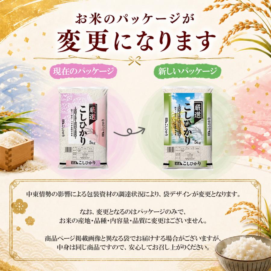 新米 令和8年産】産地厳選 コシヒカリ 5kg お米 送料無料 白米 : こめ