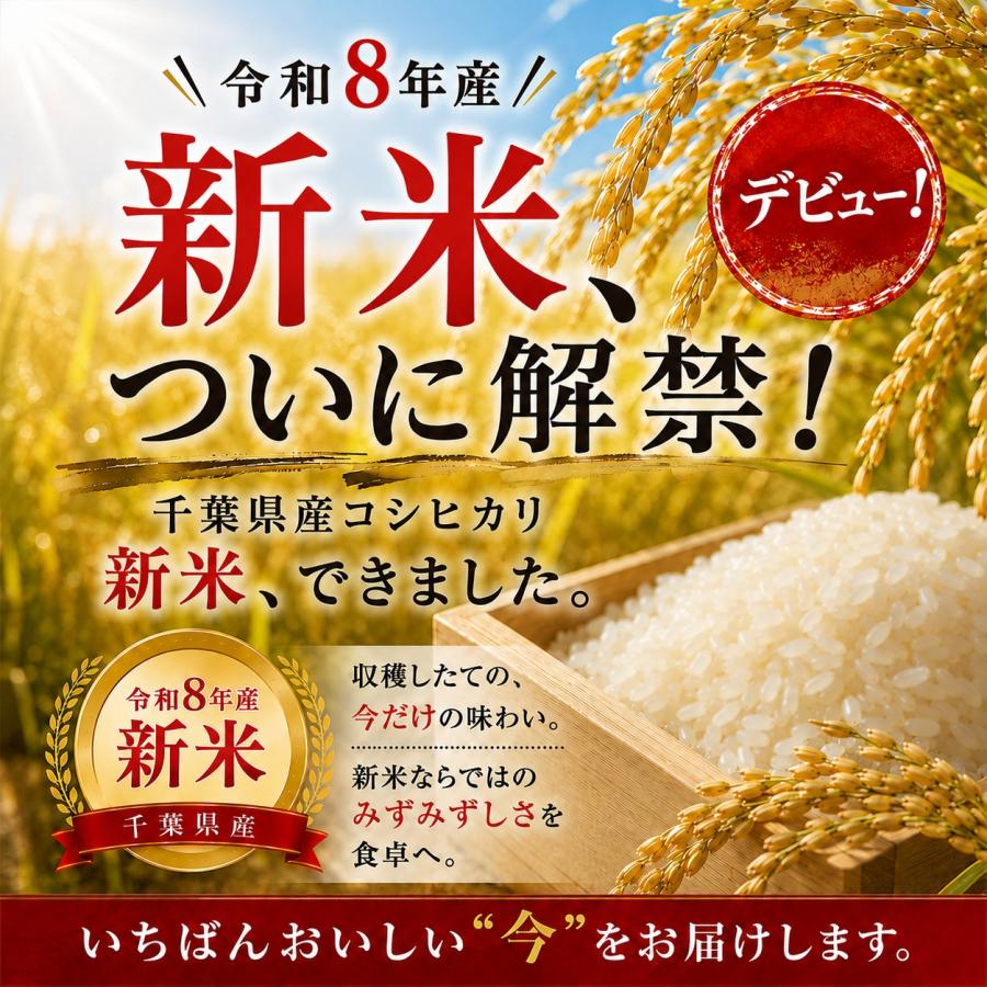 新米】令和8年 産地厳選 コシヒカリ 10kg （5kg×2個）お米 送料無料