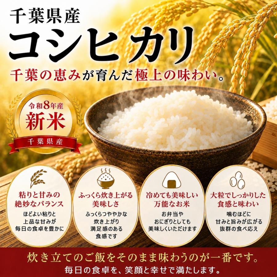 新米 令和8年産】 産地厳選 コシヒカリ 10kg （5kg×2個）お米 送料無料