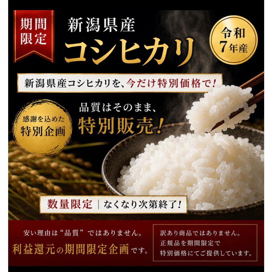 令和7年 産地厳選 コシヒカリ 10kg （5kg×2個）お米 送料無料 白米