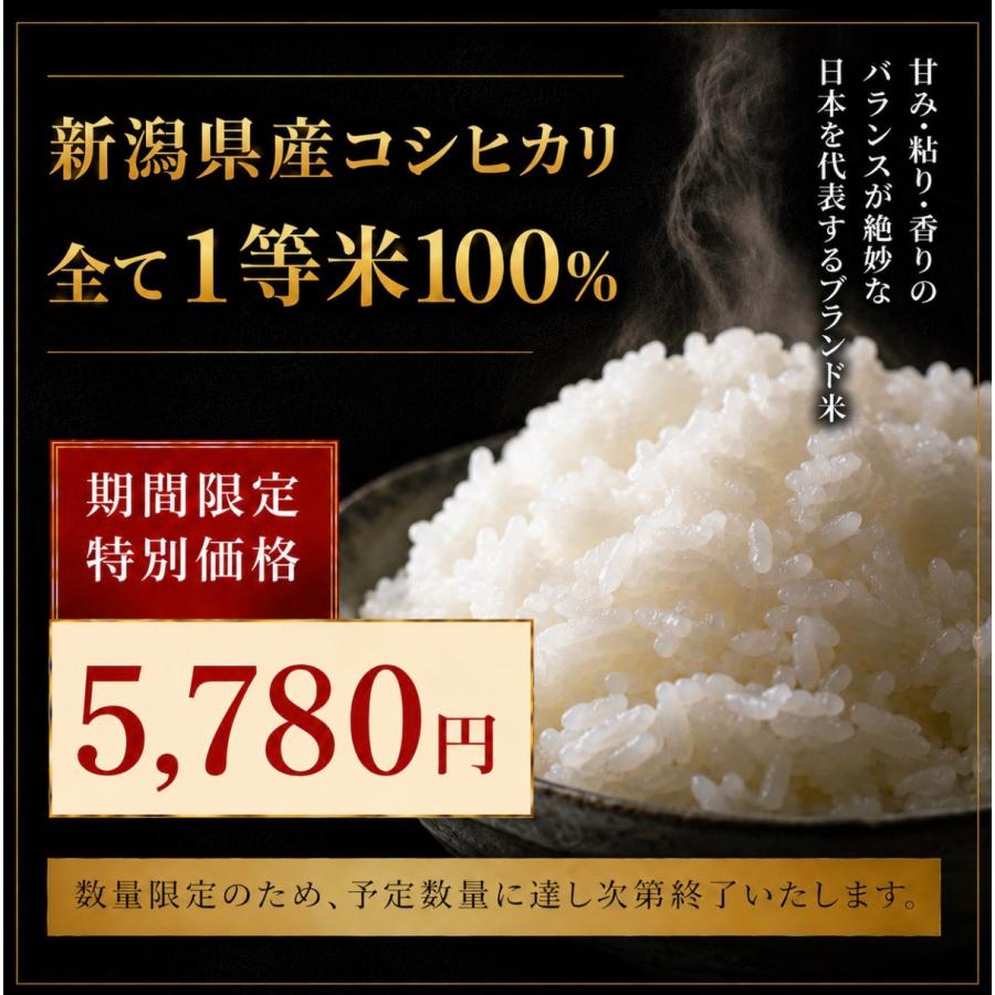 令和7年 産地厳選 コシヒカリ 10kg （5kg×2個）お米 送料無料 白米 