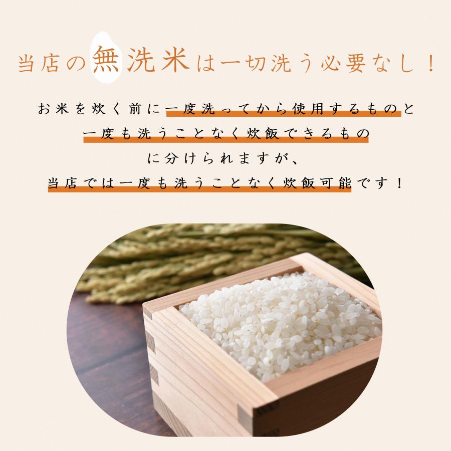 令和7年 無洗米 国内産 こめたくん 10kg (5kg×2個) お米 送料無料 白米