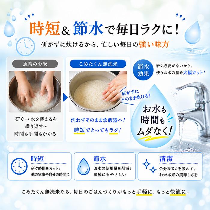 無洗米 国内産 こめたくん 10kg (5kg×2個) お米 送料無料 白米 米