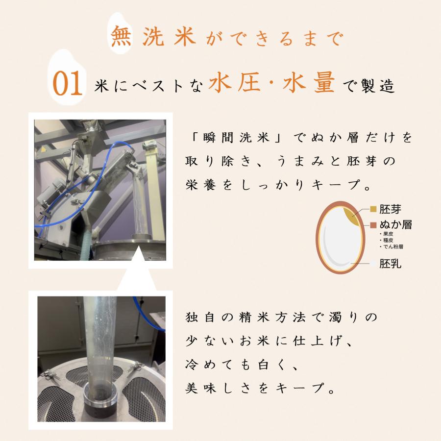 令和7年 無洗米 国内産 こめたくん 10kg (5kg×2個) お米 送料無料 白米