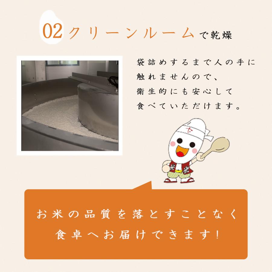 令和7年 無洗米 国内産 こめたくん 10kg (5kg×2個) お米 送料無料 白米