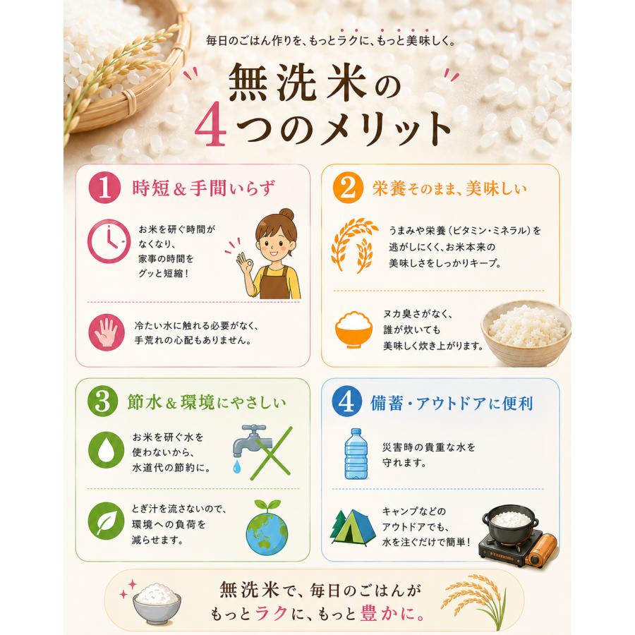 令和7年 無洗米 国内産 こめたくん 10kg (5kg×2個) お米 送料無料 白米