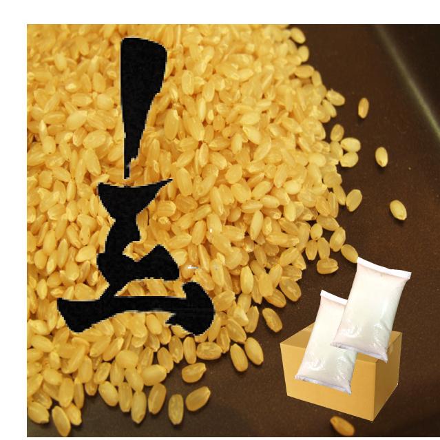 令和5年度産】玄米 京都府産 ひのひかり10kg（5kg×2袋） 京都府産 