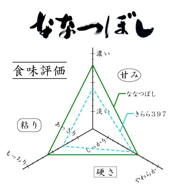 米 米5kg お米 北海道米 ななつぼし 玄米 5kg  令和６年産 送料無料