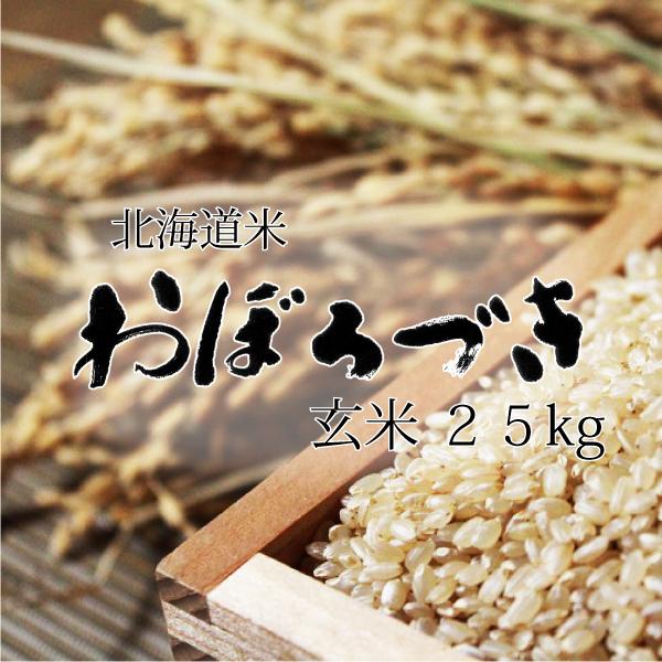 米 米25kg 玄米 お米 北海道米 おぼろづき 25kg 5kg×5 令和7年産 送料 