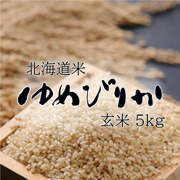 令和6年度北海道産ゆめぴりか玄米20㎏農家直送 【公式通販】