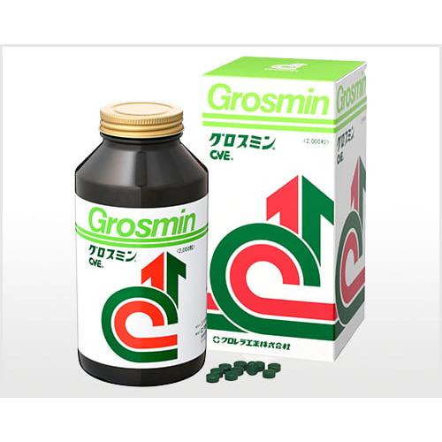 新品未開封 グロスミン 2000粒入り2箱 グロスミン 2000粒」の人気商品一覧