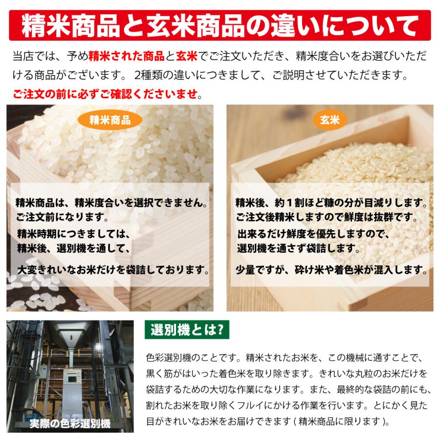 米5kg コシヒカリ 石川県産 令和5年 新米 お米  能登の白ごはん米 こしひかり 5キロ｜komeya188｜09