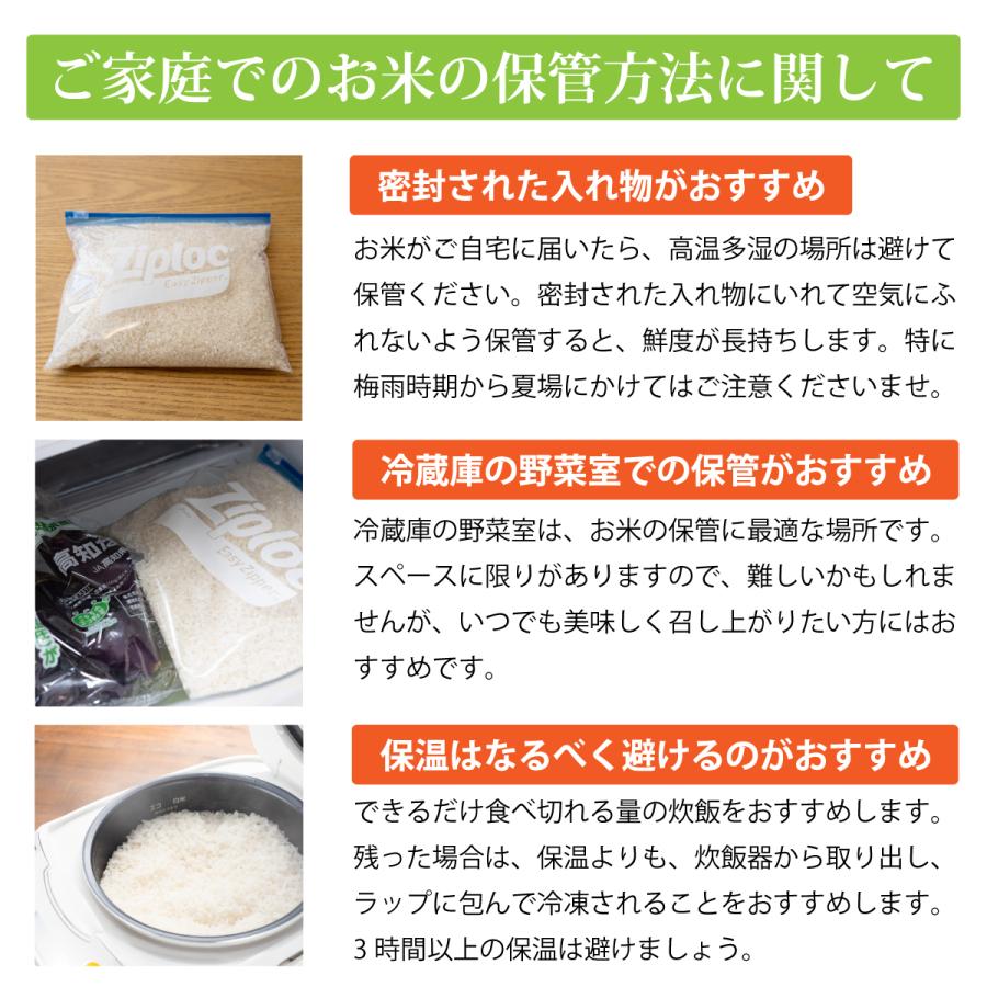 米10kg コシヒカリ 石川県産 5kg×2袋 令和5年 新米 お米 能登米 こしひかり 10キロ｜komeya188｜19