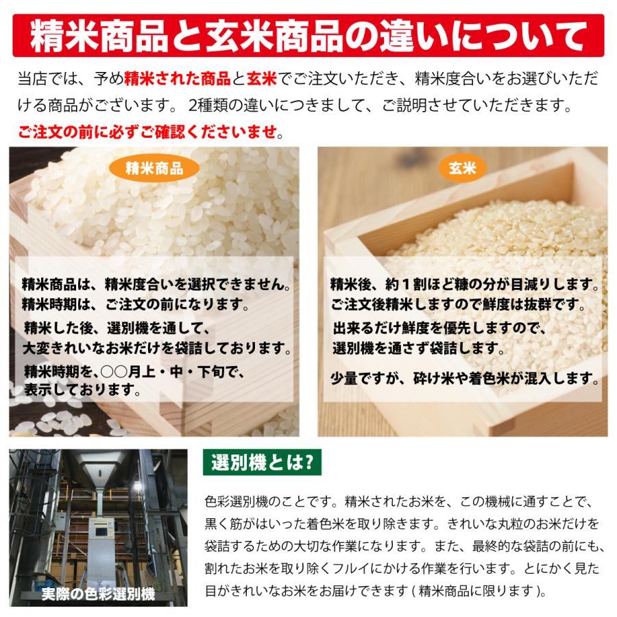 玄米 3kg コシヒカリ 石川県産 令和6年 新米 吉野こしひかり 3キロ