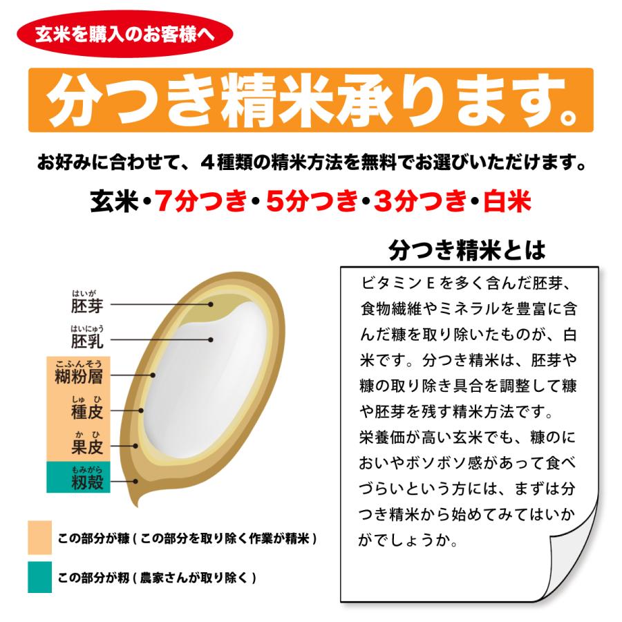 玄米 5kg コシヒカリ 石川県産 令和5年 新米 吉野こしひかり 5キロ｜komeya188｜08