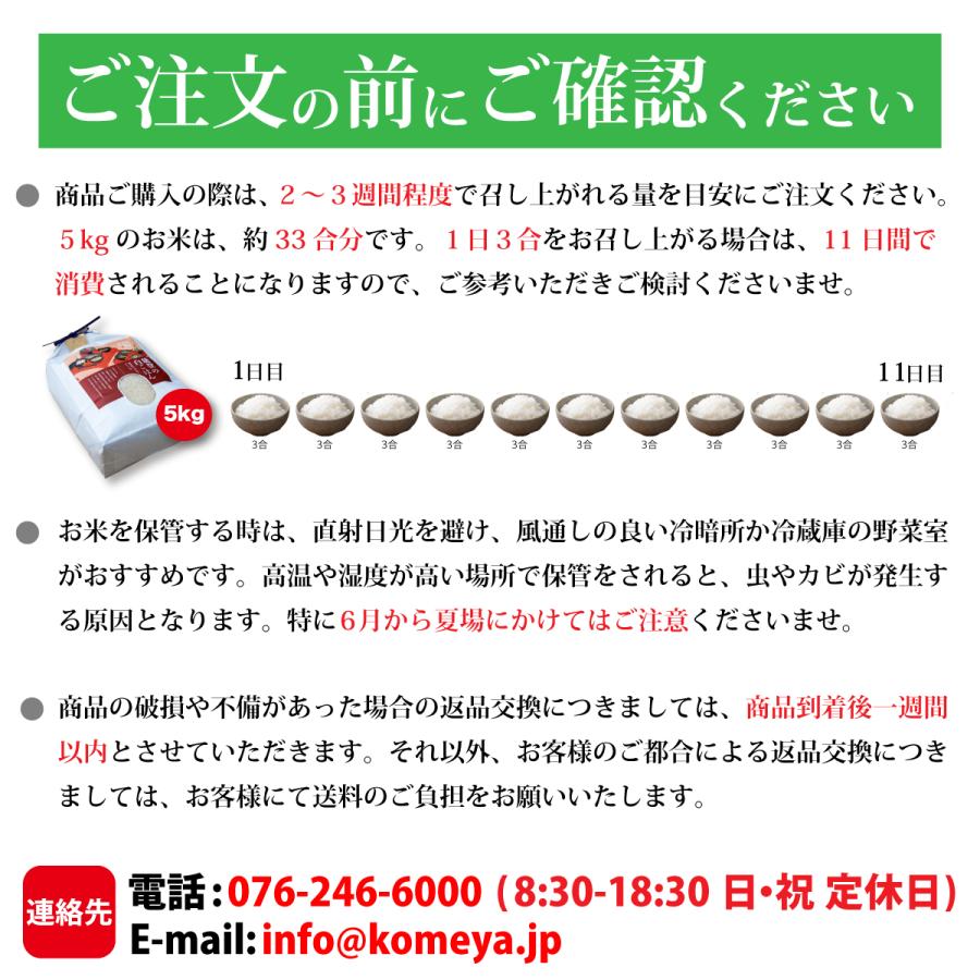 玄米 10kg ミルキークイーン 石川県産 令和7年 新米 5kg×2袋 10キロ