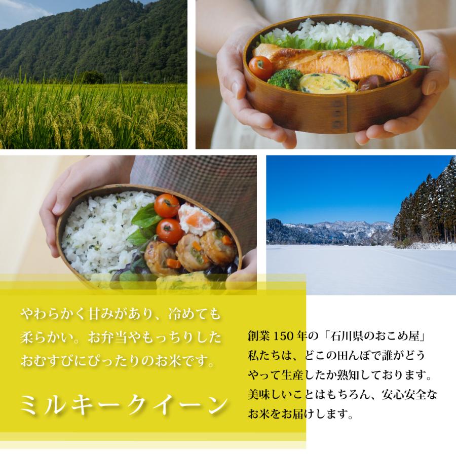 玄米 10kg ミルキークイーン 石川県産 令和6年 新米 5kg×2袋 10 玄米 10kg ミルキークイーン 石川県産 令和6年 新米 5kg×2袋 10
