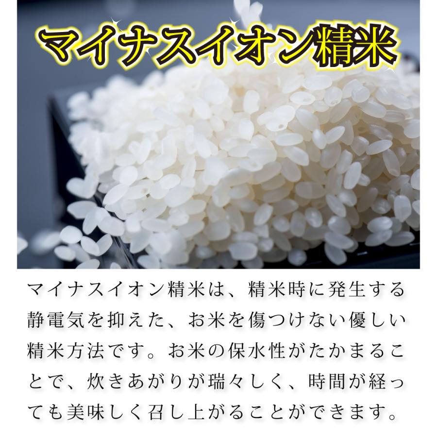 玄米 10kg ミルキークイーン 石川県産 令和5年 新米 5kg×2袋 10キロ｜komeya188｜06