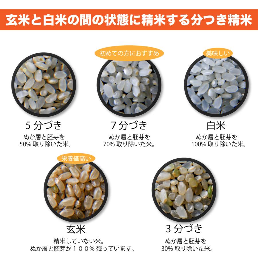 玄米 10kg ミルキークイーン 石川県産 令和6年 新米 5kg×2袋 10 玄米 10kg ミルキークイーン 石川県産 令和6年 新米 5kg×2袋 10