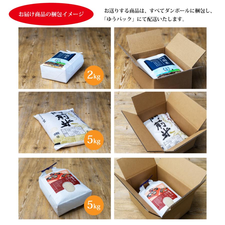 玄米 10kg ハナエチゼン 石川県産 令和6年 新米 5kg×2袋 10キロ 玄米 10kg ハナエチゼン 石川県産 令和6年 新米 5kg×2袋 10キロ