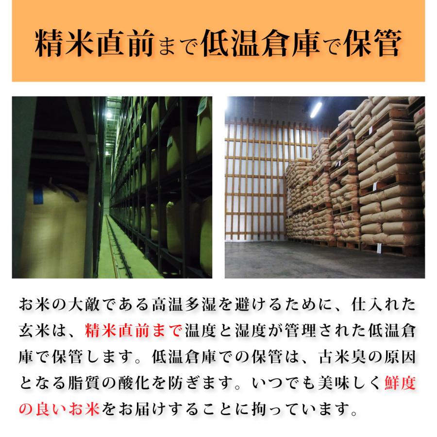 玄米 10kg ハナエチゼン 石川県産 令和6年 新米 5kg×2袋 10キロ 玄米 10kg ハナエチゼン 石川県産 令和6年 新米 5kg×2袋 10キロ