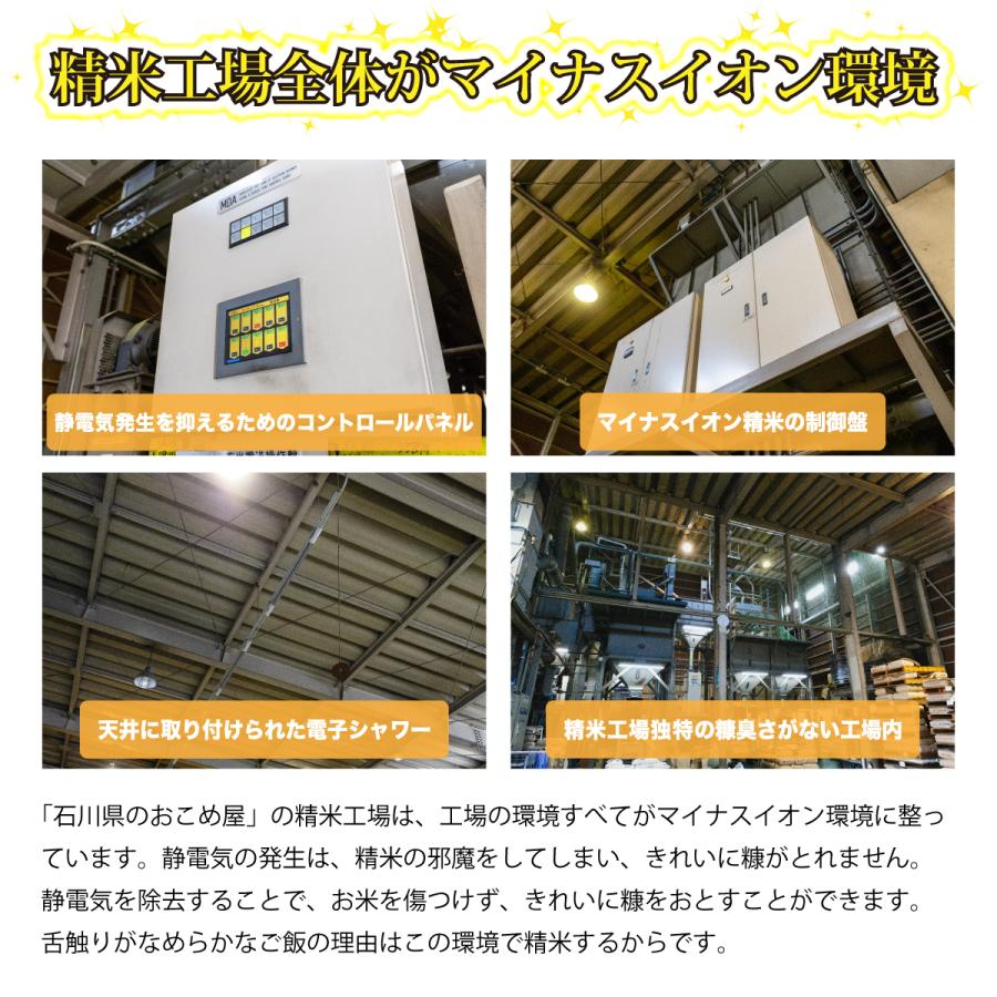 玄米 10kg ハナエチゼン 石川県産 令和6年 新米 5kg×2袋 10キロ 玄米 10kg ハナエチゼン 石川県産 令和6年 新米 5kg×2袋 10キロ