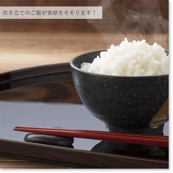 コシヒカリ 令和6年産 お米 25kg 白米 新潟県産コシヒカリ 5kg コシヒカリ 令和6年産 お米 25kg 白米 新潟県産コシヒカリ 5kg