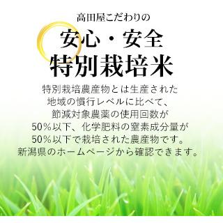 こがねもち 令和6年産 もち米1.5kg 特別栽培米 新潟産こがね こがねもち 令和6年産 もち米1.5kg 特別栽培米 新潟産こがね