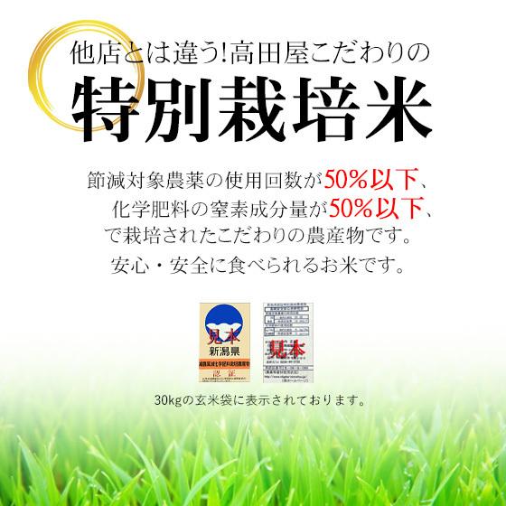 令和５年産　お米 2kg　特別栽培米新潟産 「新之助」 2kg 当日出荷　送料無料※一部地域を除く｜komeya｜02