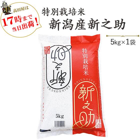 令和５年産　お米 5kg 白米 特別栽培米 新潟産新之助  5kg×1袋　※送料無料（一部地域を除く）｜komeya