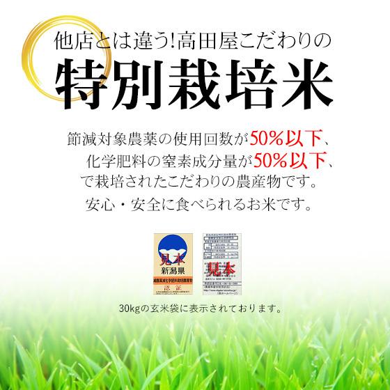 新之助　5kg×2袋　計10kg 新之助（しんのすけ） 令和7年産 新潟産 10kg(5kg×2袋) 米 保存に便利