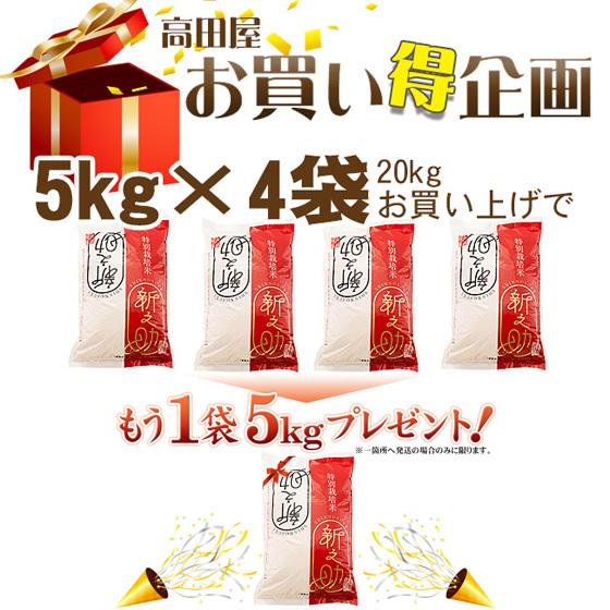 令和５年産　お米 5kg 白米 特別栽培米 新潟産新之助  5kg×1袋　※送料無料（一部地域を除く）｜komeya｜03