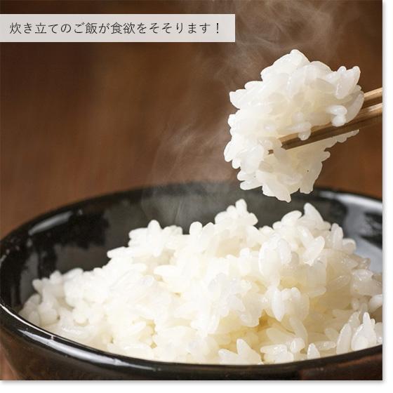 コシヒカリ 令和6年産 新米 お米 1kg 新潟産コシヒカリ1kg 白米 コシヒカリ 令和6年産 新米 お米 1kg 新潟産コシヒカリ1kg 白米