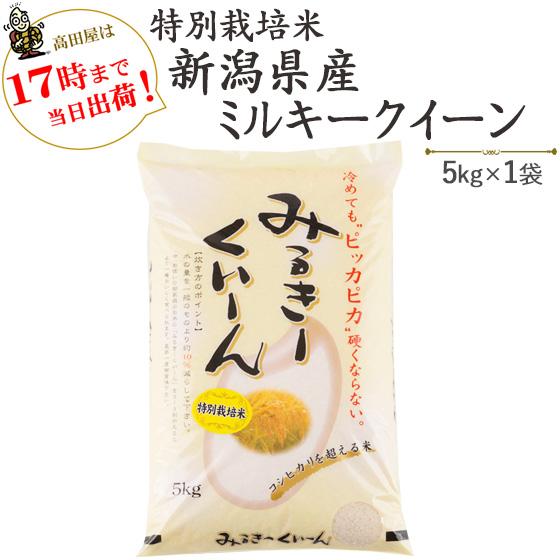 令和５年産　お米 5kg 特別栽培米 新潟産ミルキークイーン　5kg×1袋　送料無料（一部地域を除く）｜komeya