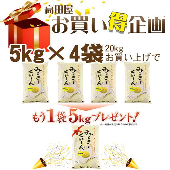 ミルキークイーン 令和7年産 特別栽培米 新潟産 ミルキークイーン5kg