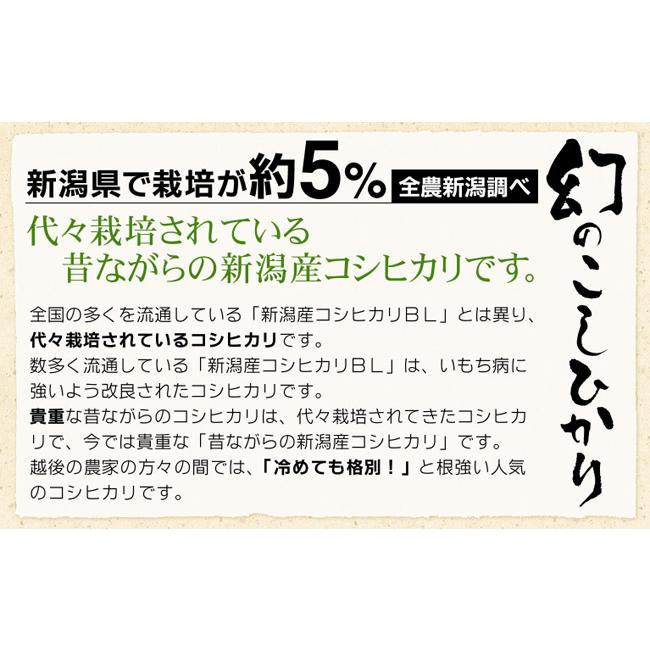 コシヒカリ 令和7年産 新米 お米 10kg 特別栽培米 昔ながらの