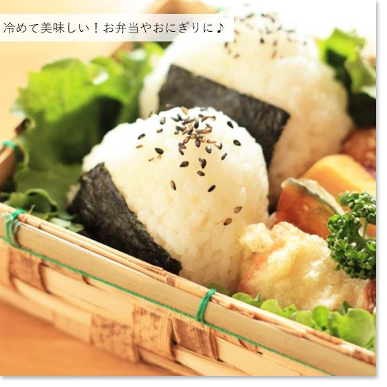 ミルキークイーン 令和7年産 お米 白米 10kg 特別栽培米 新潟産