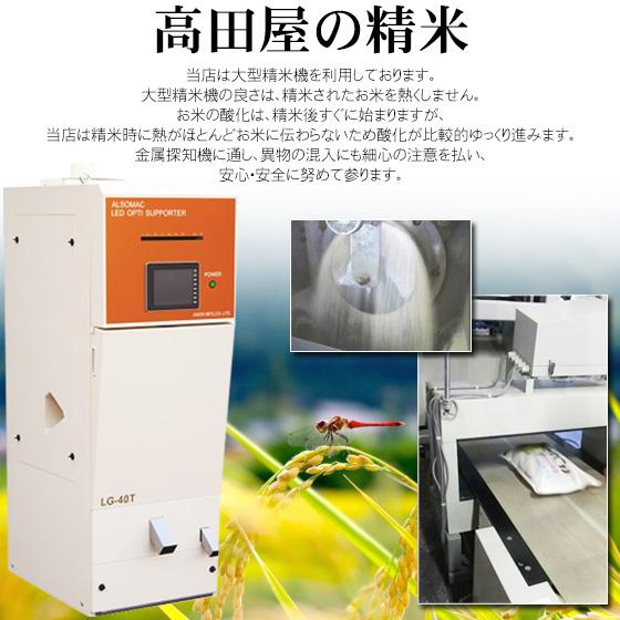 ミルキークイーン 令和7年産 お米 白米 10kg 特別栽培米 新潟産