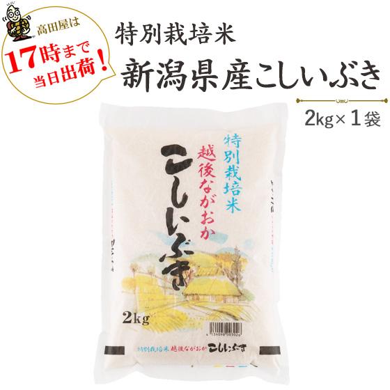 【93%OFF!】 超人気新品 令和３年産 お米 2kg 白米 特別栽培米新潟産こしいぶき2kg×1袋 当日出荷 送料無料 一部地域を除く weighwell.in weighwell.in