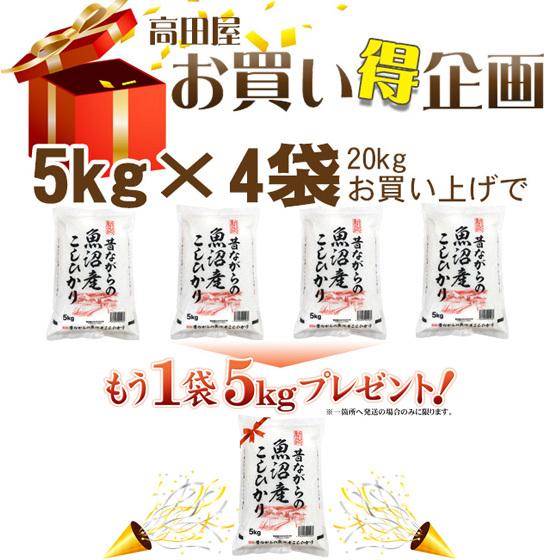 令和５年産　お米 5kg 　昔ながらの魚沼産こしひかり 5kg×1袋※送料無料（一部地域を除く）高田屋お買い得企画｜komeya｜03