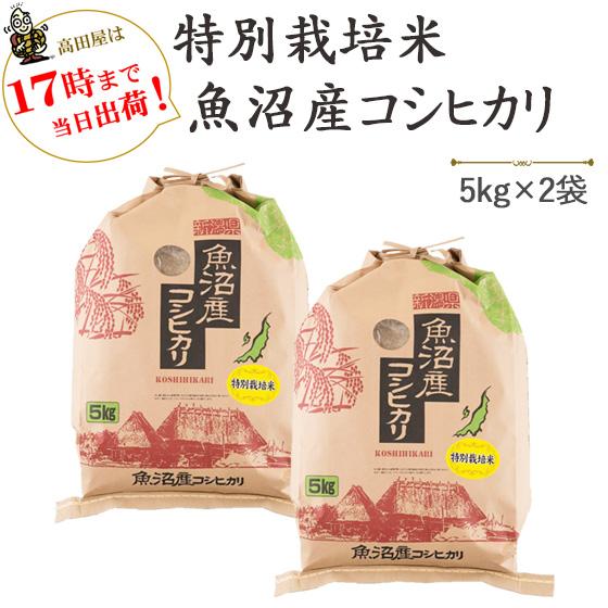 令和７年産　　お米 10kg  津南町ゆきやまと農場限定！特別栽培米魚沼産コシヒカリ　5kg×2袋　※送料無料（一部地域を除く）