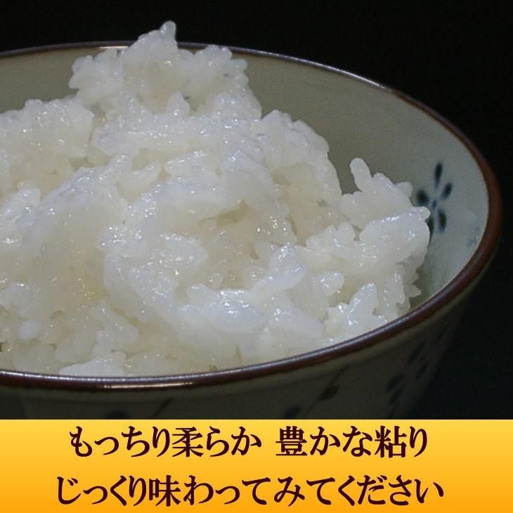 ひとめぼれ 米 天日干し 店長が作ったお米 ひとめぼれ 10kg 白米