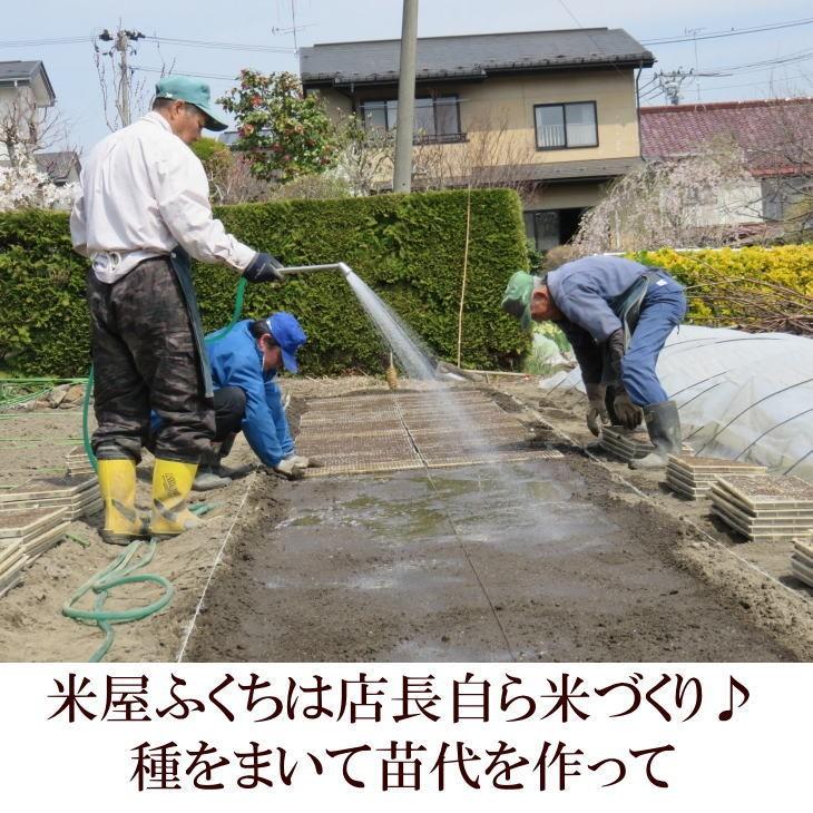 令和2年自然乾燥天日干し米ひとめぼれ100％玄米（精米無料）沖縄離島除き送料無料 令和2年自然乾燥天日干し米ひとめぼれ100％玄米（精米無料）沖縄
