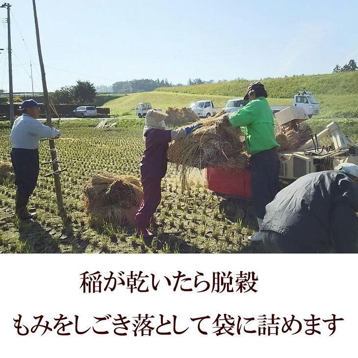 米　天日干し　店長が作ったお米　ササニシキ　2kg　白米　玄米もOK　令和5年産米　送料無料　2キロ　天日乾燥　岩手県産　発送日当日精米｜komeyafukuchi｜14