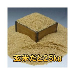 25キロ玄米を精米 宮城県石巻産ササニシキ玄米30キロ 【公式通販】